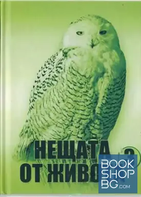 Нещата от живота. Книга 3