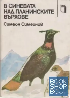 В синевата над планинските върхове