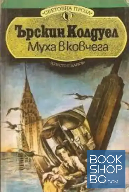 View 1 of Муха в ковчега