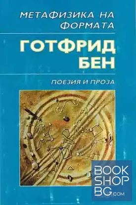 Метафизика на формата