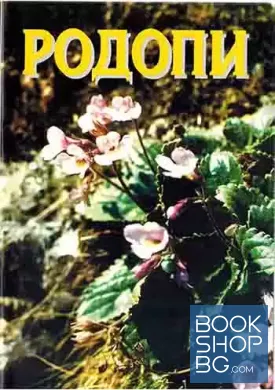 Родопи