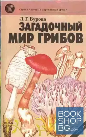 Загадочный мир грибов