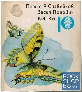 Китка