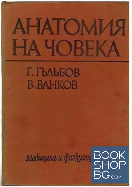 View 1 of Анатомия на човека