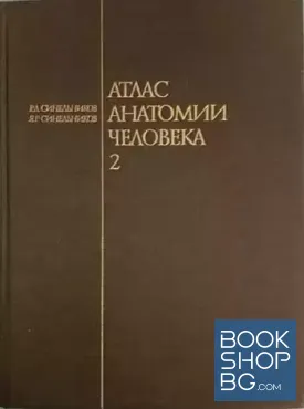 Атлас анатомии человека. Том 2