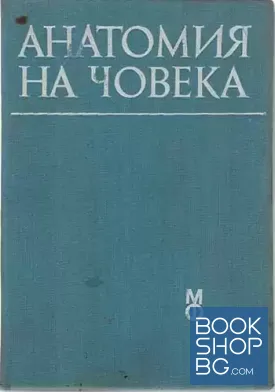 Анатомия на човека