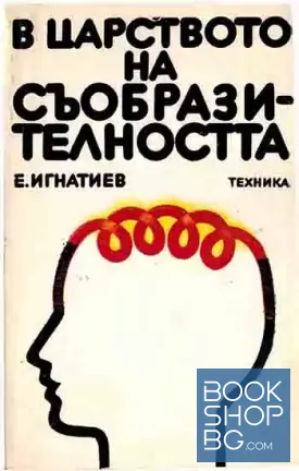 В царството на съобразителността
