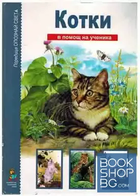 Котки