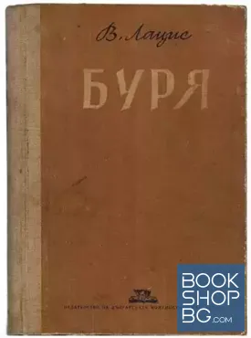 Буря