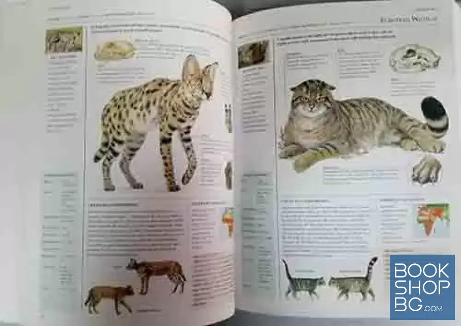 View 2 of The encyclopedia of animals