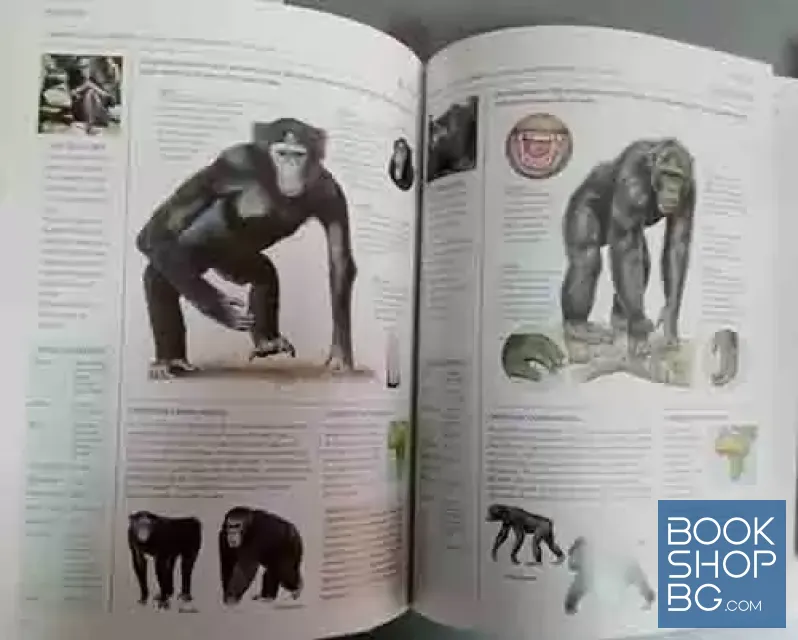 View 3 of The encyclopedia of animals
