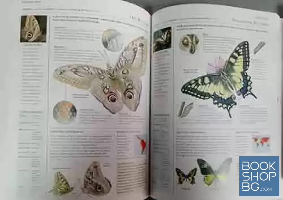 View 4 of The encyclopedia of animals