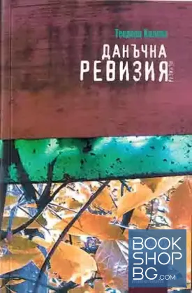 Данъчна ревизия