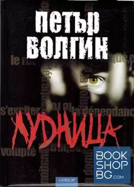 Лудница