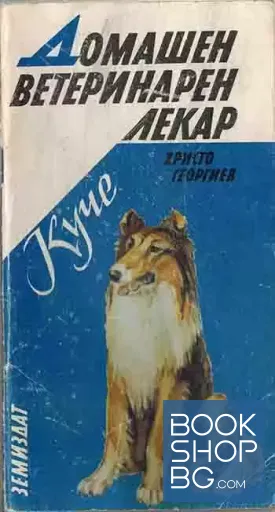 Куче