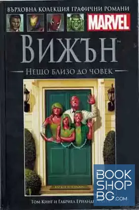 Вижън. Нещо близо до човек