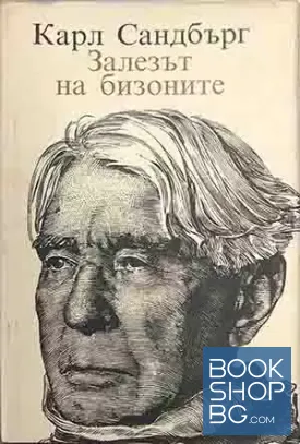 Залезът на бизоните