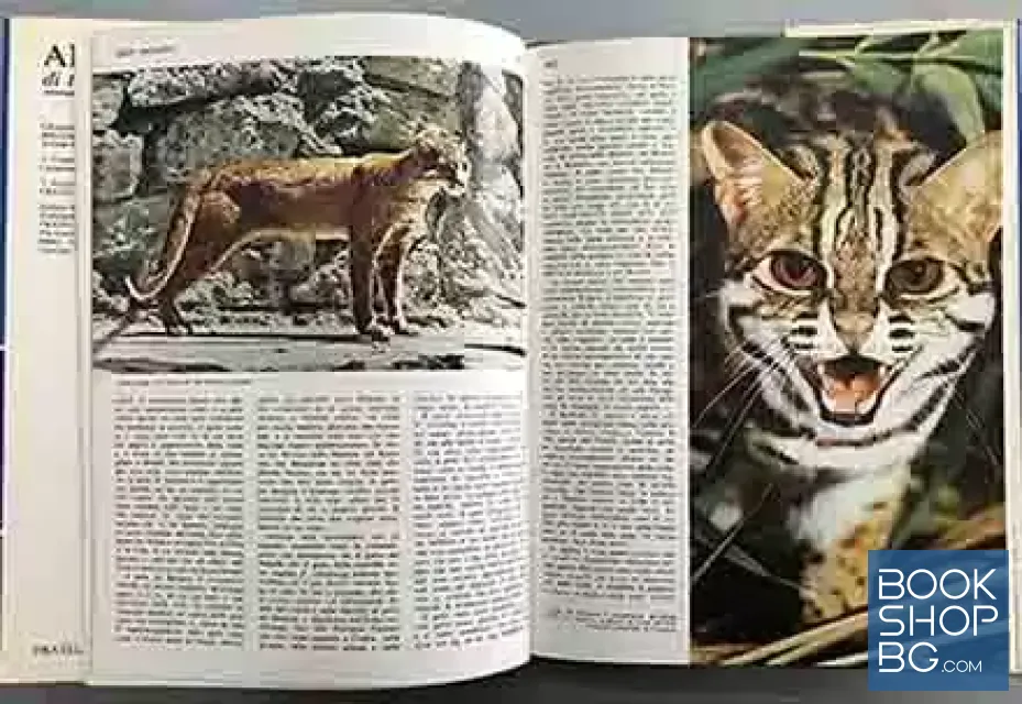 View 2 of Animali di tutto il mondo. Enciclopedia sistemstica. Ecologoca. Etologica