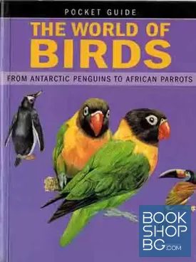 World of Birds: From Antarctic Penguins to African Parrots