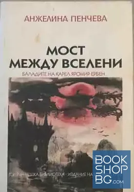Мост между вселени