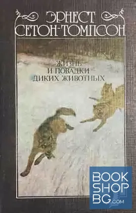 Жизнь и повадки диких животных