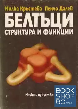 Белтъци - структура и функции