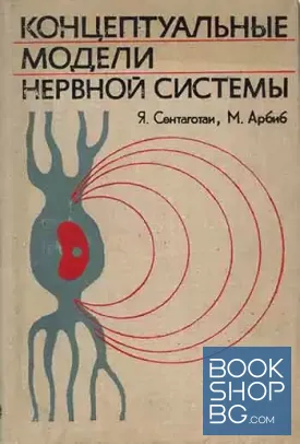 Концептуальные модели нервной системы