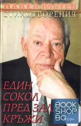 Един сокол пред залеза кръжи
