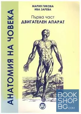Анатомия на човека. Част 1: Двигателен апарат