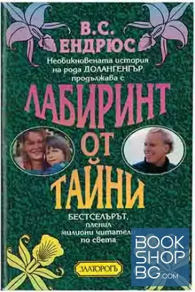 Необикновената история на рода Долангенгър. Книга 3: Лабиринт от тайни