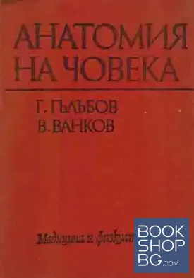 Анатомия на човека