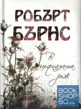 В цъфналата ръж