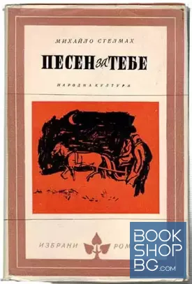 Песен за тебе