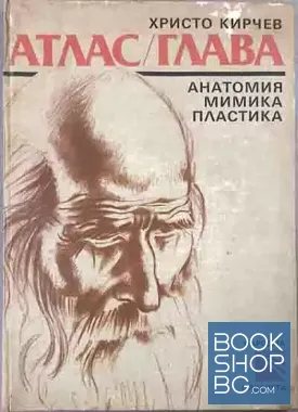 Атлас / Глава