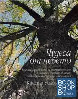 Чудеса от небето Чудеса от небето