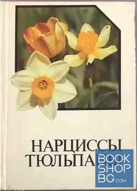 View 1 of Нарциссы. Тюльпаны