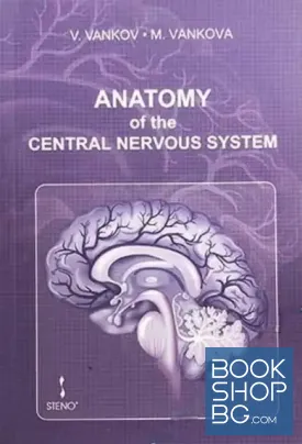 Anatomy of the Central Nervous System