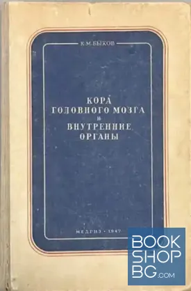 Кора головного мозга и внутренние органы