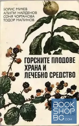 Горските плодове - храна и лечебно средство