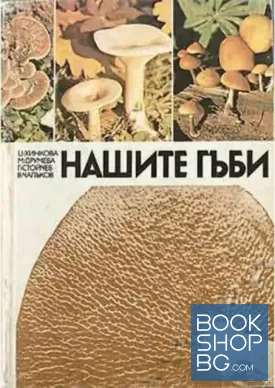 Нашите гъби