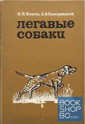 Легавые собаки