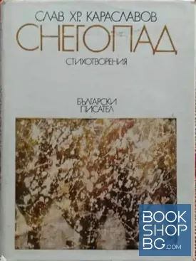 Снегопад