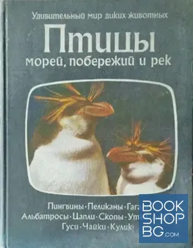 Птицы морей, побережий и рек