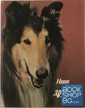 Наши верные друзья
