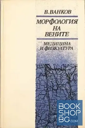 Морфология на вените