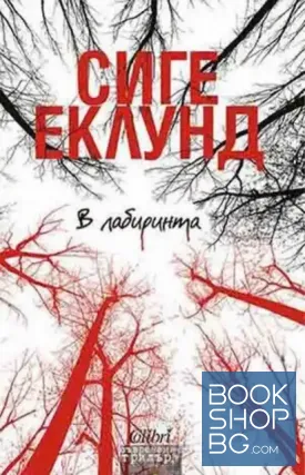 В лабиринта