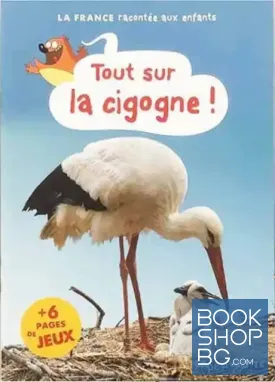 Tout sur la cigogne!