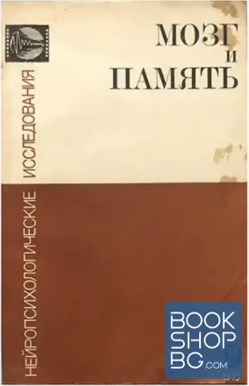 Мозг и память