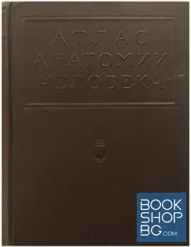 Атлас анатомии человека. Том 4