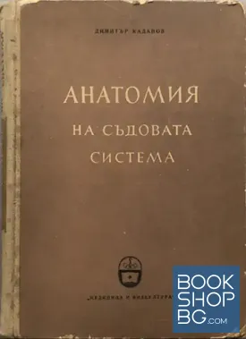 Анатомия на съдовата система